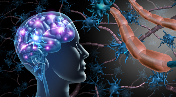 Vagus Nerve - The Nerve You Need to Know About