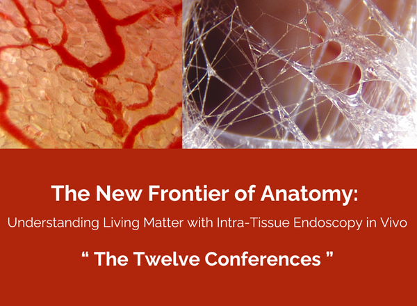 The New Frontier of Anatomy